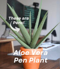 3D Printed Aloe Vera Pen Plant | Each Stem Is A Pen House Plant For People Who Can't Keep House Plants Alive Decor Pen Holder ForgeCore