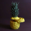 Pineapple made for Storage